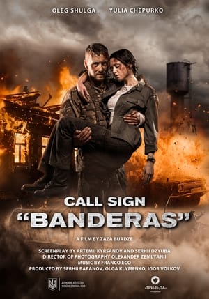 Call Sign Banderas (2018) Hindi Dual Audio HDRip 720p – 480p Movie Poster