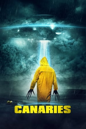 Canaries (2017) Hindi Dual Audio 480p WebRip 300MB Movie Poster