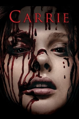 Carrie (2013) Hindi Dual Audio 480p BluRay 300MB Movie Poster