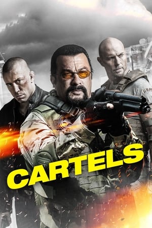 Cartels 2017 Hindi Dual Audio 480p BluRay 300MB Movie Poster