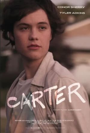 Carter (2022) Hindi Dual Audio HDRip 720p – 480p Movie Poster