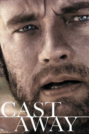 Cast Away 2000 Hindi Dual Audio 480p BluRay 450MB Movie Poster