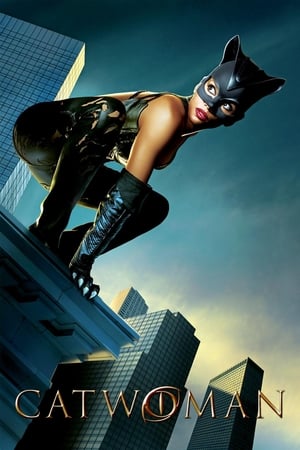 Catwoman (2004) Hindi Dual Audio 480p BDRip 400MB Movie Poster