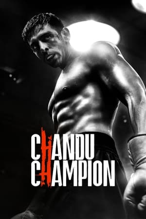 Chandu Champion 2024 Hindi HDRip 720p – 480p – 1080p Movie Poster