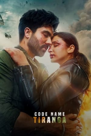 Code Name: Tiranga 2022 Hindi Movie DVDScr 720p – 480p Movie Poster