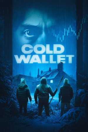 Cold Wallet (2025) WEBRip Hindi (MULTI AUDIO) 720p – 480p – 1080p Movie Poster