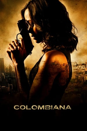 Colombiana (2011) Hindi Dual Audio 720p BluRay [1.1GB] Movie Poster