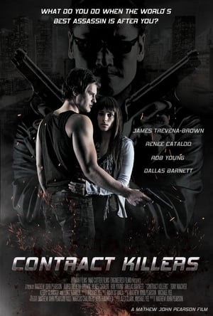 Contract Killers (2014) 100mb Hindi Dual Audio movie Hevc BRRip Download Movie Poster