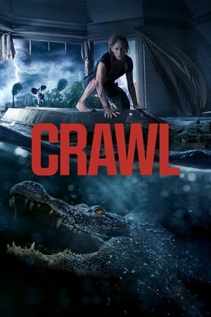 Crawl (2019) Hindi Dual Audio 720p Web-DL [800MB] Movie Poster