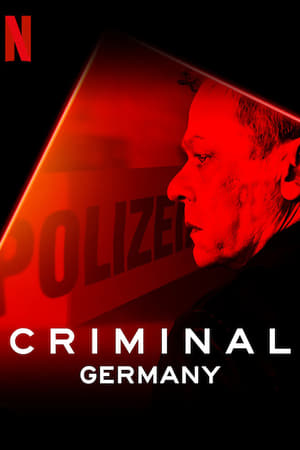 Criminal: Germany (2019) Season 1 All Episodes Dual Audio Hindi 720p HDRip [Complete] Movie Poster