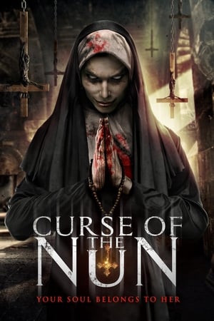 Curse of the Nun (2019) Hindi Dual Audio 480p BluRay 260MB Movie Poster