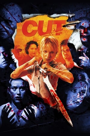 Cut (2000) Hindi Dual Audio 720p BluRay [1.1GB] Movie Poster