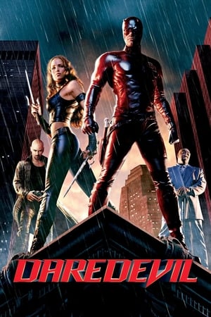 Daredevil (2003) Hindi Dual Audio 720p BDRip [880MB] Movie Poster