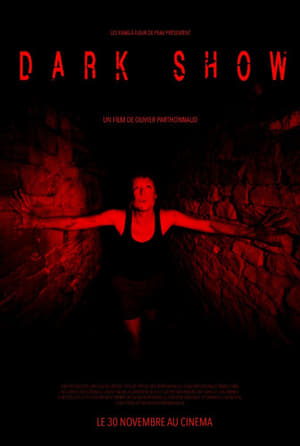 Dark Show (2016) Hindi Dual Audio HDRip 720p – 480p Movie Poster