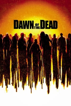 Dawn of the Dead (2004) Hindi Dual Audio 480p BluRay 400MB Movie Poster