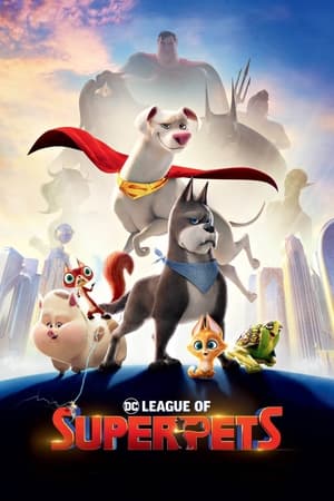 DC League of Super Pets 2022 Hindi (ORG) HDRip – 720p – 480p Movie Poster