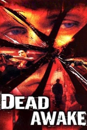 Dead Awake 2001 Hindi Dual Audio 480p WebRip 300MB Movie Poster