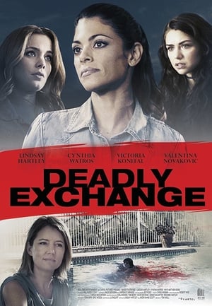 Deadly Exchange 2017 Hindi Dual Audio 720p BluRay [900MB] Movie Poster