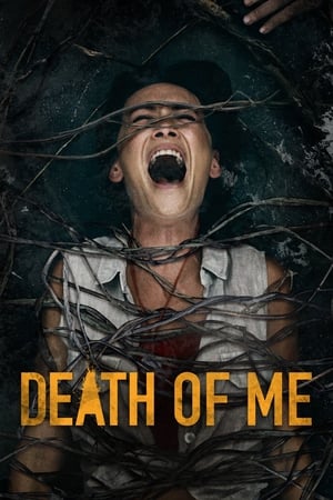 Death of Me (2020) Hindi Dual Audio 480p HDRip 300MB Movie Poster