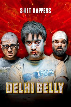 Delhi Belly 2011 Full Movie Download DVDRip 720p [750MB] Movie Poster