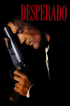 Desperado 1995 Hindi Dual Audio 480p BluRay 300MB Movie Poster