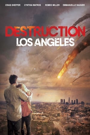 Destruction Los Angeles (2017) Hindi Dual Audio 720p HDRip [900MB] Movie Poster