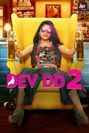 Dev DD 2017 Hindi Season 1 HDRip 720p [Complete] ESubs Movie Poster