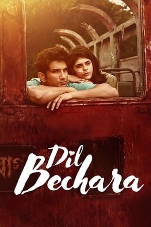 Dil Bechara (2020) Hindi Movie 480p HDRip - [350MB] Movie Poster