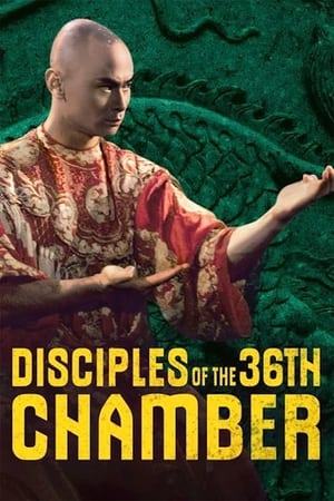 Disciples of the 36th Chamber (1985) Hindi Dual Audio 720p BluRay [1GB] Movie Poster