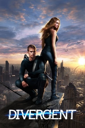 Divergent (2014) Hindi Dual Audio 480p BluRay 450MB Movie Poster