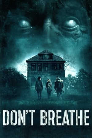 Don't Breathe (2016) Hindi Dual Audio 720p BluRay [850MB] Movie Poster