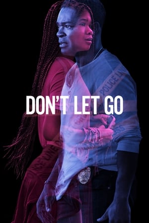 Don’t Let Go (2019) Hindi Dual Audio 720p HDRip [890MB] Movie Poster