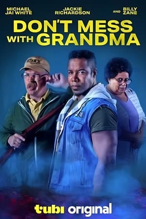 Don't Mess with Grandma (2024) WEBRIP Hindi (MULTI AUDIO) 720p - 480p - 1080p Movie Poster