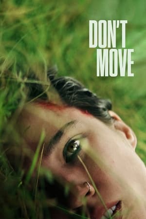 Dont Move 2024 Hindi ORG Dual Audio HDRip 720p – 480p – 1080p Movie Poster