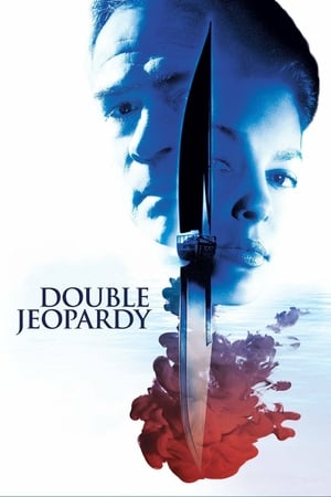 Double Jeopardy 1999 Hindi Dual Audio 480p Web-DL 350MB Movie Poster