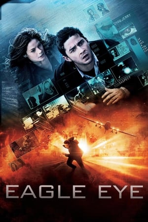 Eagle Eye (2008) Hindi Dual Audio 480p BluRay 330MB ESubs Movie Poster