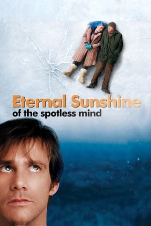 Eternal Sunshine Of The Spotless Mind 2004 Hindi Dual Audio 720p BluRay [780MB] Movie Poster