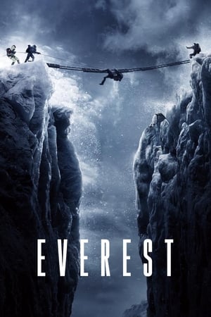 Everest (2015) Hindi Dual Audio 480p BluRay 450MB Movie Poster