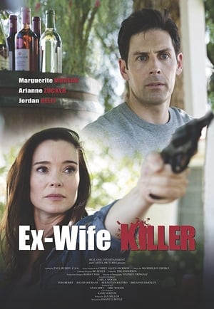 Ex-Wife Killer (2017) Hindi Dual Audio 480p WebRip 300MB Movie Poster