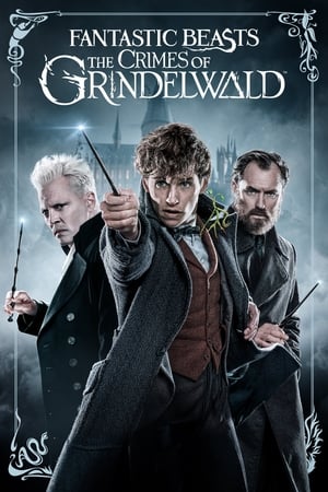 Fantastic Beasts 2 (2018) Hindi (Original) Dual Audio 720p HDRip [1GB] Movie Poster