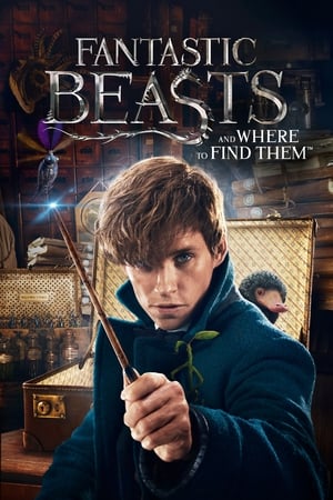 Fantastic Beasts and Where to Find Them 2016 HD-TS x264 [600MB] Movie Poster