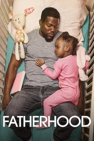 Fatherhood (2021) Hindi Dual Audio 720p WebRip [1GB] Movie Poster