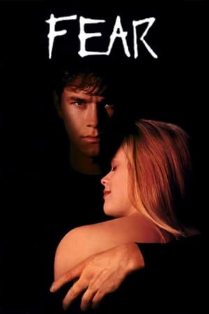 Fear (1996) Hindi Dual Audio 720p BluRay [850MB] Movie Poster