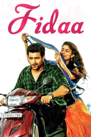 Fidaa 2017 [Hindi - Telugu] Dual Audio 480p Uncut HDRip 450MB Movie Poster