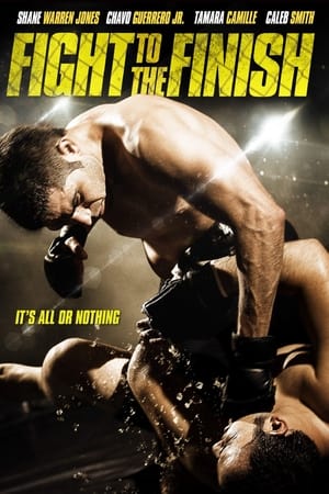 Fight To The Finish (2016) Hindi Dual Audio 720p x264 With ESubs Movie Poster