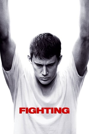 Fighting (2009) Hindi Dual Audio 720p BluRay [1.1GB] Movie Poster