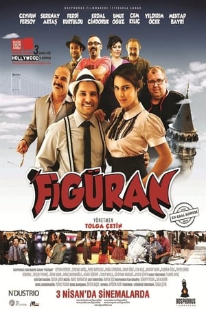 Figuran (2015) Hindi Dual Audio 480p BluRay 330MB Movie Poster