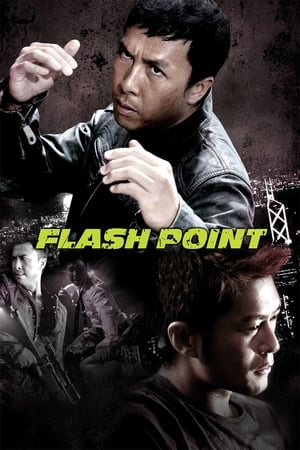 Flash Point (2007) Hindi Dual Audio 480p BluRay 300MB Movie Poster