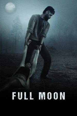 Full Moon 2023 Punjabi HDRip 720p – 480p Movie Poster