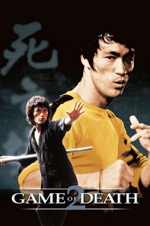 Game of Death II (1981) Dual Audio Hindi 480p BluRay 300MB Movie Poster